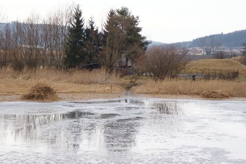 Vysečení rákosu na rybníce Střela 2