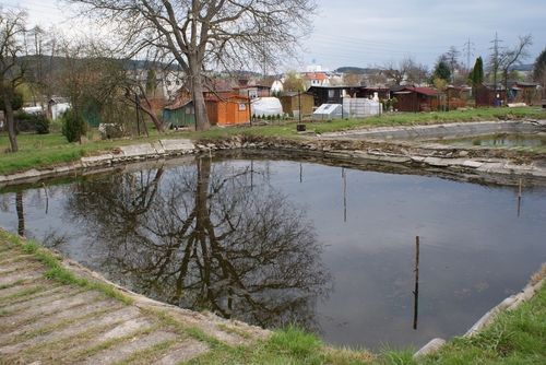 Sádka č. 2 s označenými výtěrovými hnízdy pro candáta obecného