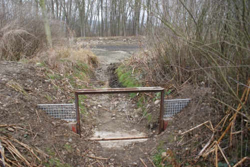 Ochrana přítoku na rybníce Komora (doplnění předchozích příspěvků) 12.13_004