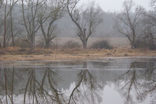 Údržba břehů rybník Pustý 01.14.001