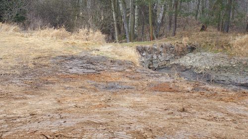 Údržba areálu rybníčku v Pořičí 03.14.003