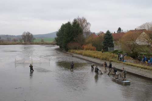 Výlovy rybníků 10.14.001