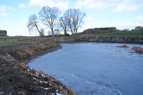 Rybník Sedlo 2– vyhrnuté břehy 12.14.001