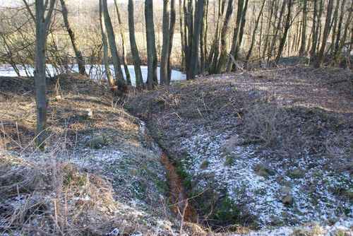 Vyčištěná odpadní stoka na rybníku v Pořičí 01.15.001